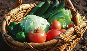 よくあるご質問